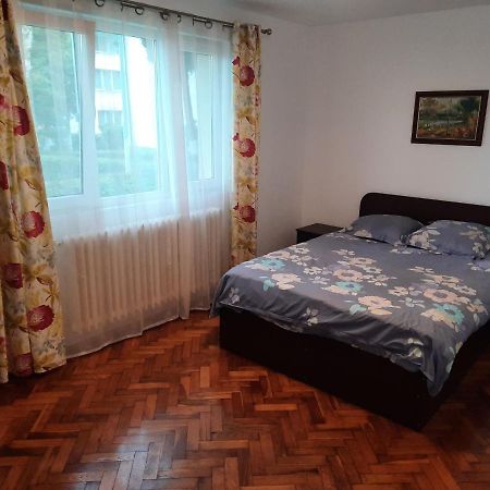 Cozy Three Rooms Apartment Kaloşvar Dış mekan fotoğraf