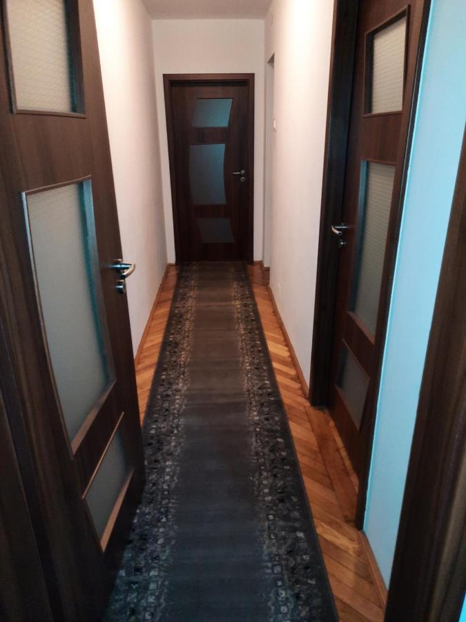 Cozy Three Rooms Apartment Kaloşvar Dış mekan fotoğraf